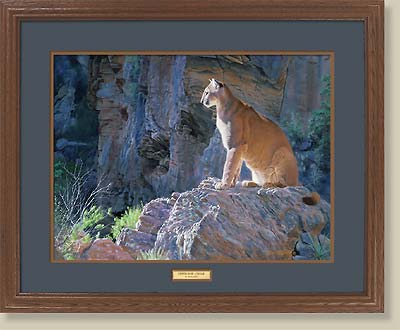 Canyon Glow-Cougar by Jim Kasper